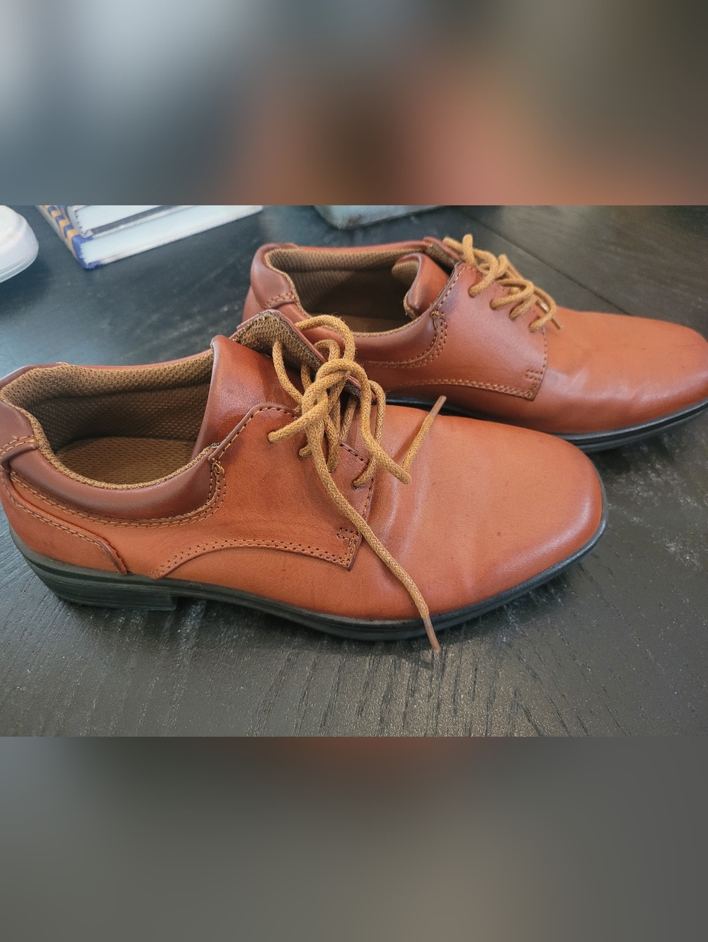 Stafford Boys' Dress Shoes in Cognac Brown